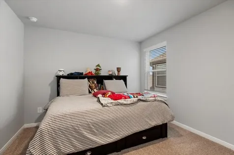 27134 Cutleaf Daisy Court Hockley TX 77447