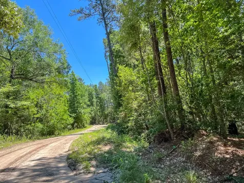 T-6 Punk Road Corrigan TX 77352