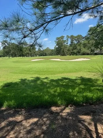 6006 Bermuda Dunes Drive Houston TX 77069