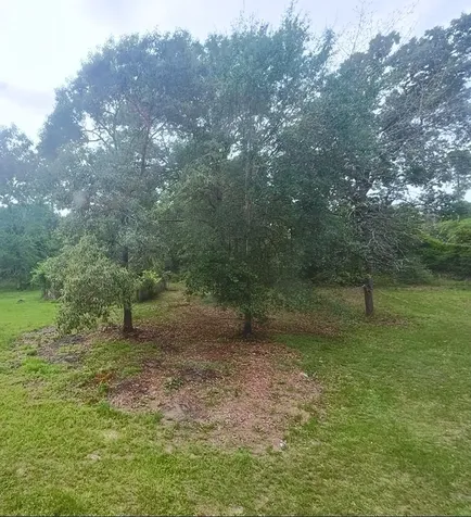 571 Pelican Street Magnolia TX 77355