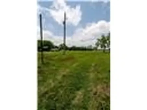 0000 County Road 168 Alvin TX 77511
