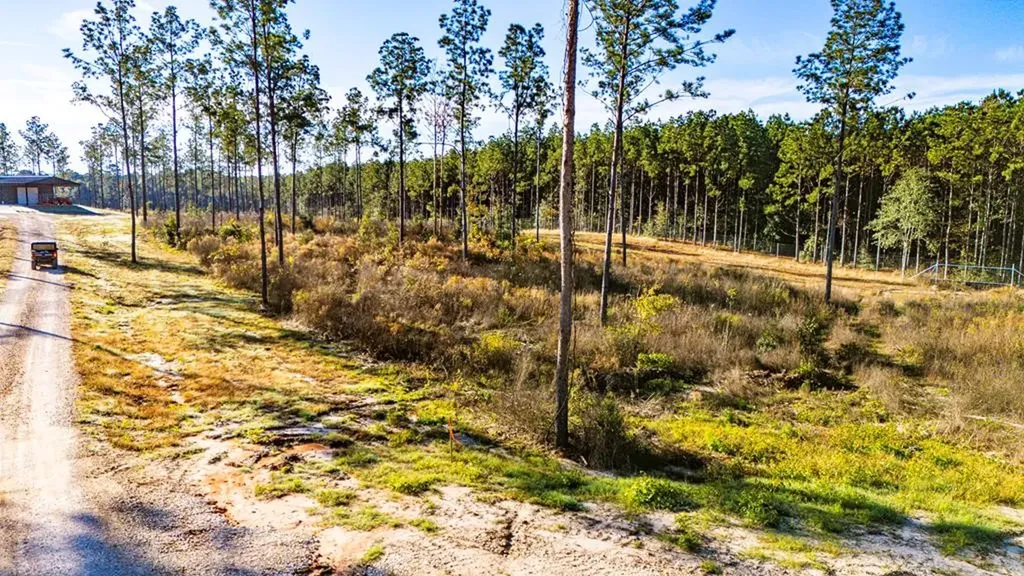 Lot 2 Black Buck Drive Moscow TX 75960