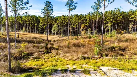 Lot 2 Black Buck Drive Moscow TX 75960