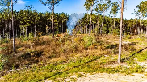 Lot 2 Black Buck Drive Moscow TX 75960