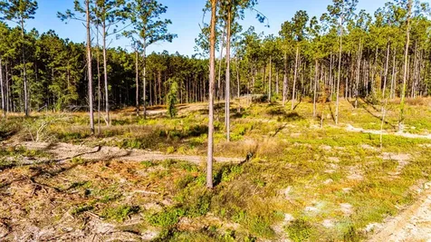 Lot 2 Black Buck Drive Moscow TX 75960