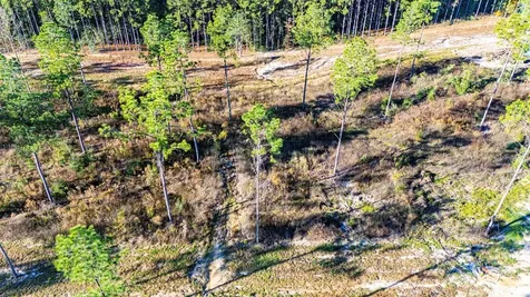 Lot 2 Black Buck Drive Moscow TX 75960
