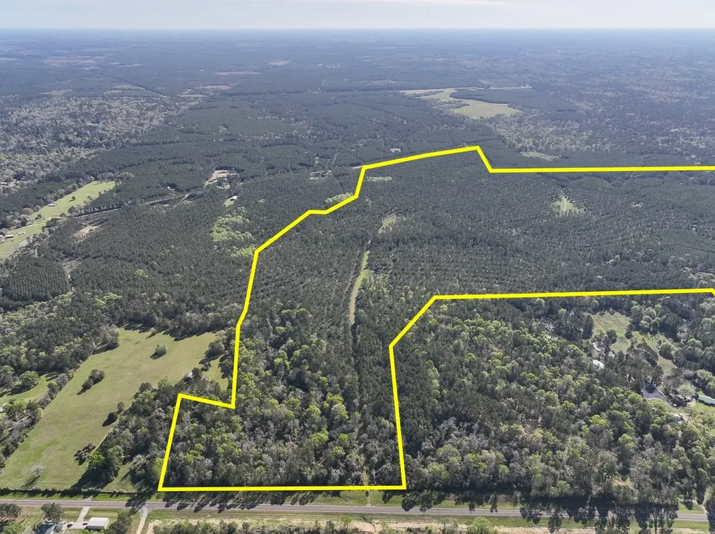 0 Fm 2610 Livingston TX 77351