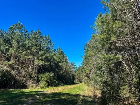 0 Fm 2610 Livingston TX 77351