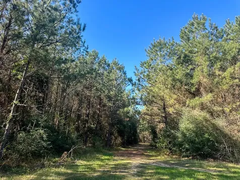 0 Fm 2610 Livingston TX 77351