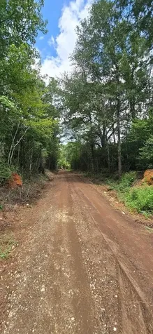 427 County Road 4822 Timpson TX 75975