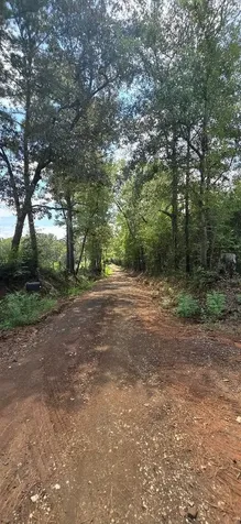 427 County Road 4822 Timpson TX 75975