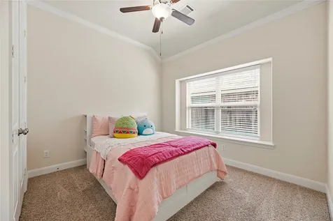 19822 Mariah Rose Court Cypress TX 77433