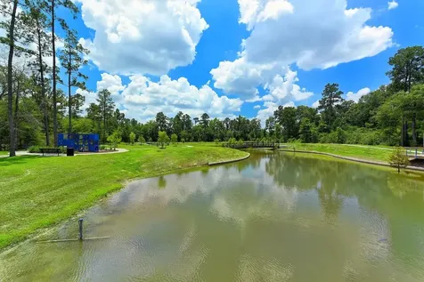 1010 Bat Hawk Court Conroe TX 77385