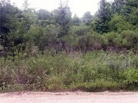 0 County Road 2926 Cleveland TX 77327