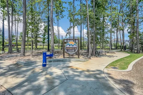 328 Rise Lane Montgomery TX 77316