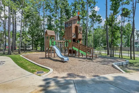 328 Rise Lane Montgomery TX 77316