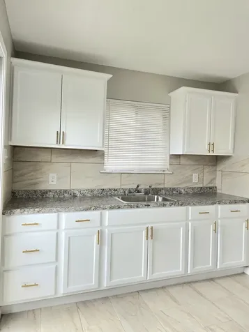 3843 Mount Pleasant Street Houston TX 77021