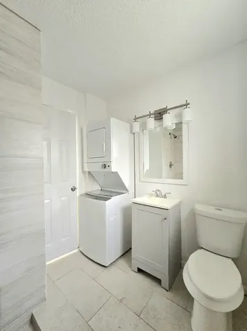 3843 Mount Pleasant Street Houston TX 77021