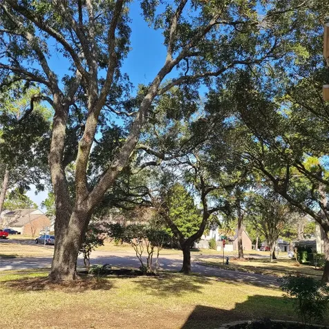 8130 Sunny Ridge Drive Houston TX 77095
