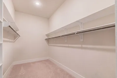 10561 Lake Palmetto Drive Conroe TX 77385