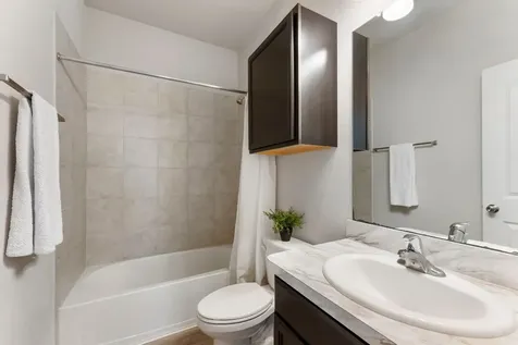 14096 Silver Falls Court Conroe TX 77384