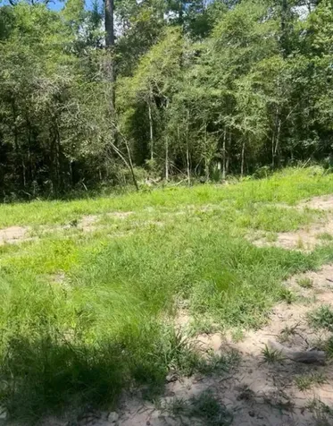 58 Firewood Road Huntsville TX 77340