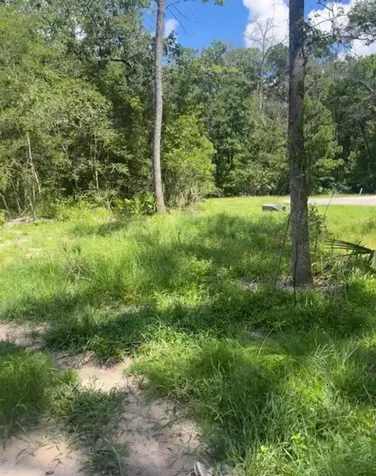 58 Firewood Road Huntsville TX 77340