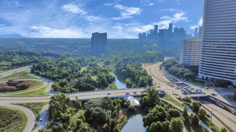 1711 Allen Parkway 2207 Houston TX 77019