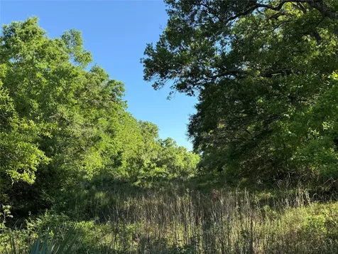 15563 Tax Id Ramblewood County Road 281 Road Sargent TX 77414