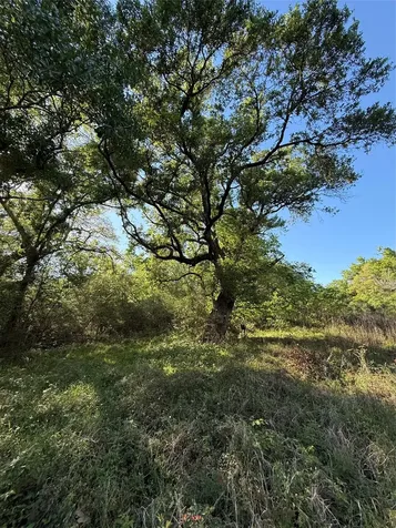 15563 Tax Id Ramblewood County Road 281 Road Sargent TX 77414