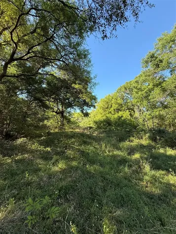 15563 Tax Id Ramblewood County Road 281 Road Sargent TX 77414