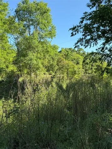 15563 Tax Id Ramblewood County Road 281 Road Sargent TX 77414