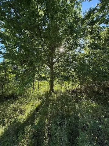 15563 Tax Id Ramblewood County Road 281 Road Sargent TX 77414