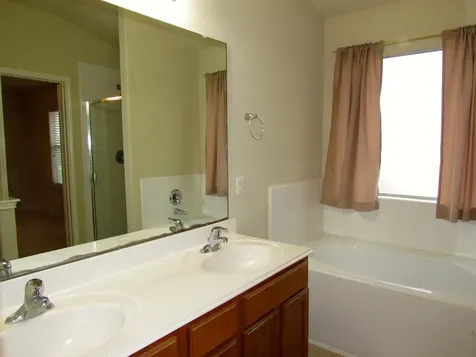 21315 Bella Mountain Drive Spring TX 77379