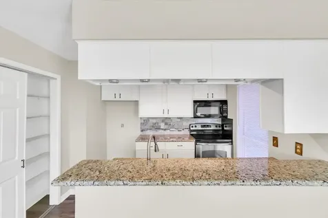 18617 Egret Bay Boulevard 1119 Webster TX 77058