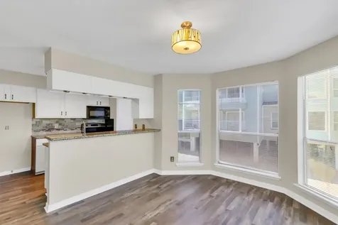 18617 Egret Bay Boulevard 1119 Webster TX 77058