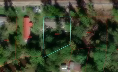 537 Tree Harbor Drive Onalaska TX 77360