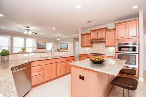 809 Cardinal Flower Drive Richmond TX 77469