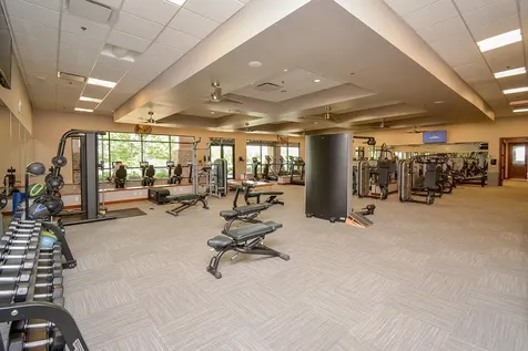 809 Cardinal Flower Drive Richmond TX 77469