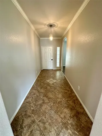 1039 N Teal Estates Circle Fresno TX 77545