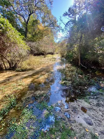 485 Private Road 6142 Grapeland TX 75844