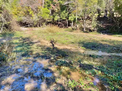 485 Private Road 6142 Grapeland TX 75844