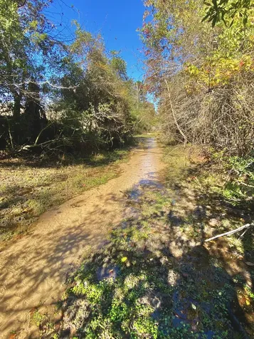 485 Private Road 6142 Grapeland TX 75844