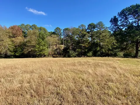 485 Private Road 6142 Grapeland TX 75844