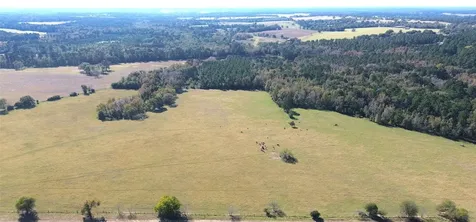 485 Private Road 6142 Grapeland TX 75844