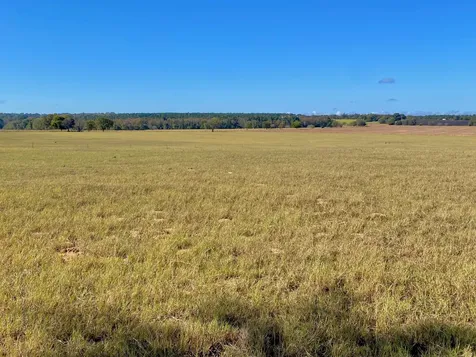 485 Private Road 6142 Grapeland TX 75844