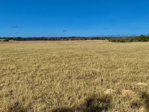 485 Private Road 6142 Grapeland TX 75844