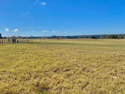 485 Private Road 6142 Grapeland TX 75844