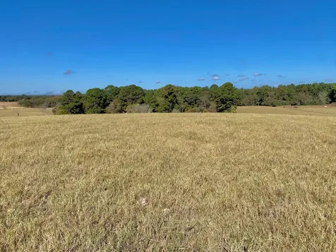 485 Private Road 6142 Grapeland TX 75844