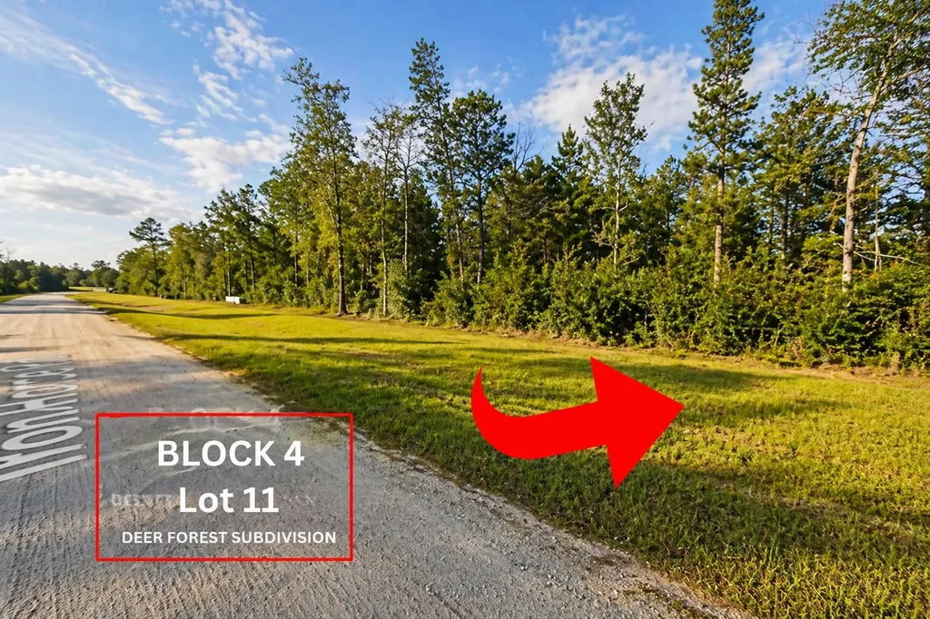 305 Iron Horse Road Willis TX 77378